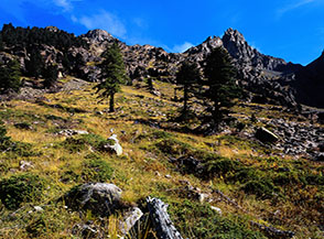 Scorcio sul fianco vallivo in vista della Guglia delle Forciolline (sullo sfondo).