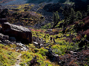 Pittoresco paesaggio alpestre sul fondovalle delle Forciolline.