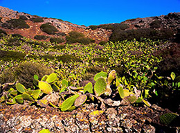 Monte Vulcano e M.Rosso