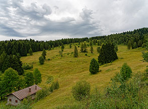 I prati che s&rsquo;incontrano salendo al Monte Zugna dall&rsquo;Osservatorio Astronomico.