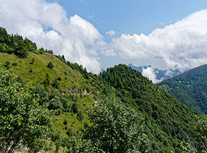 Paesaggio sui fianchi della Selvata dove passa la strada militare per Passo Buole.