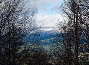 Da una finestra nel bosco scorgiamo le piste del Monte Botte Donato.