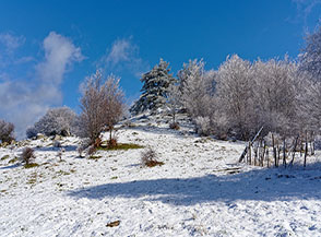 Fuori dal bosco poco prima di raggiungere la cima di Colle Perilli.