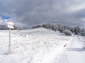 In vista della cima del Montenero (di fronte).