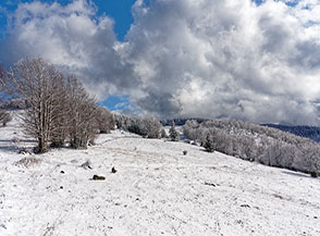 &ldquo;Paesaggio natalizio&ldquo; (Montenero).