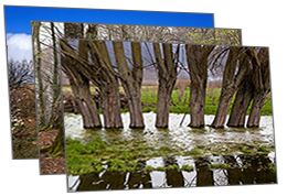 Monti Cimini e Sabatini