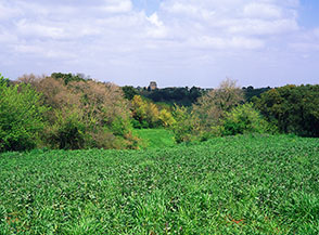 L&rsquo;imponente Torre di Perna , costruita per chiari scopi difensivi, emerge all&rsquo;orizzonte.