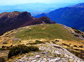 La radura di Pian dell&rsquo;Oro, lungo la Cresta Sud-Ovest del Monte Foltrone.