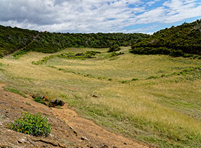 Prati dorati rivestono il fondo della caldera del Morro Grande.