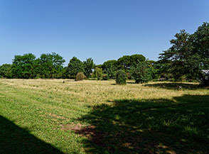 Giardini delle Mura Aureliane (Porta San Sebastiano).