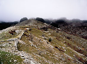 La mulattiera che sale verso la montagna alle spalle della Chiesa di San Vincenzo a Terelle.