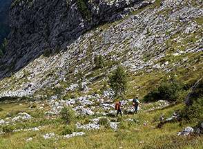 Sul sentiero che cala nella Valbona.