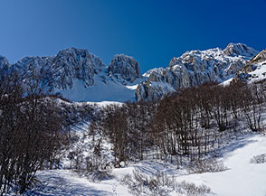 Dall&rsquo;ultima fascia di bosco che precede la Neviera uno sguardo verso la cresta sommitale dove primeggia al centro l&rsquo;Altare della Neviera.