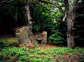 Ruderi di un metato al valico della Caffa.