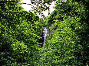 Le Cascate dell&rsquo;Acqua Caduta: un segreto celato dal bosco.