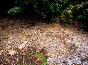 La lastra di roccia su cui sono state rinvenute delle incisioni rupestri risalenti all&rsquo;et&agrave; del bronzo (Monte Conero).
