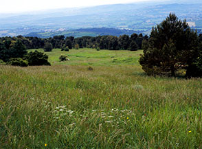 L&rsquo;alpestre Pian di Raggetti, sul versante occidentale del Monte Conero.
