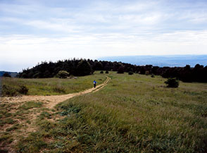 I panoramici prati di Pian di Raggetti, sul versante occidentale del Monte Conero.