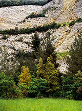 Scorcio di una delle cave abbandonate sul fondo del Fosso San Lorenzo (Monte Conero).