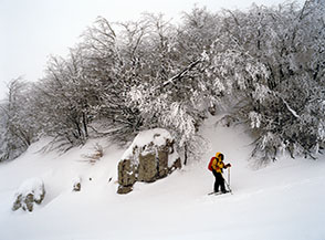 Bianco scorcio invernale nei pressi del Piano della Corte.