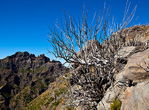 Scorcio su Pico das Torres.