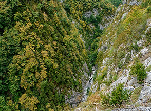 &ldquo;Mirabolandia&ldquo; (tenaci alberi sfidandondo la gravit&agrave; riescono a crescere sulle pareti a precipizio delle Gorges d&rsquo;Enfer).
