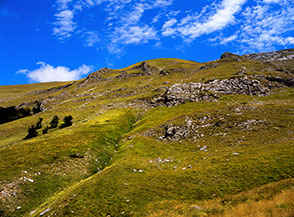 Scorcio sui pendii della Val di Panico sotto Forcella Angagnola.