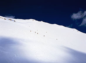 Scialpinisti calano sui fianchi del grande ventaglio alla testata del Canalone Sud del Camarda.