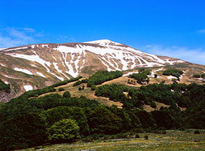 Il Versante Ovest del Pizzo di Sevo ripreso dai prati di Macchie Piane.