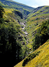 Uno dei fossi nell&rsquo;Alta Valle del Castellano che alimentano il torrente di fondovalle.