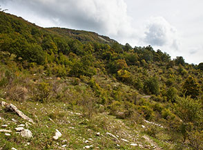 Scorcio sul Versante Ovest del Pizzo Pellecchia.