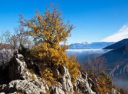 Pizzo Marcello e Monte Miglio