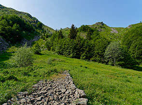 All&rsquo;uscita dal bosco in vista del valico Foce di Campolino.