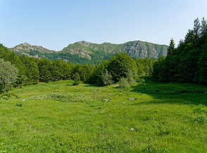 Dai prati sotto Foce di Campolino vista verso la cresta di Monte Gomito (al centro).