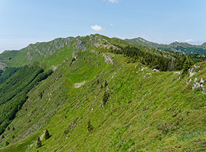 Il Poggio di Campolino, al centro sullo sfondo, ripreso dal Poggione.