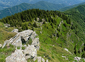 Scorcio sulla Cresta Est del Pizzo Alpestre.
