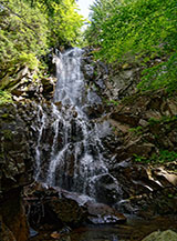 La Cascata del Doccione nascosta dal bosco di faggi.
