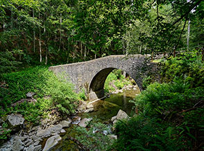 L&rsquo;antico Ponte della Strega nella Valle del Sestaione.