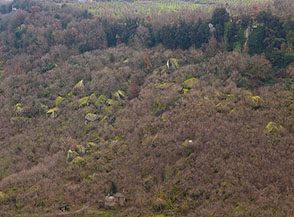 Scorcio sul Fosso Martelluzzo visto dal Poggio di Corviano.