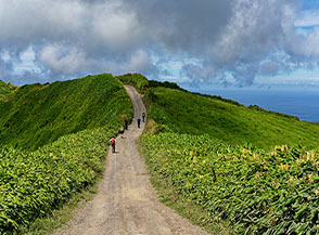 Lungo la pista che costeggia il margine della Caldeira de Sete Cidades tra siepi di 	Giglio ghirlanda o Zenzero Kahila (volgarmente Ginger Lily).