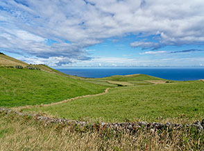 Vastissimi e verdi pascoli ricoprono gran parte della parte occidentale dell&rsquo;Isola di S&atilde;o Jorge.