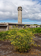 L&rsquo;austero ed un po&rsquo; militaresco Farol da Ponta Rosais fa da sfondo ad una bella pianta di 	Finocchietto (Foeniculum vulgare) in fiore.