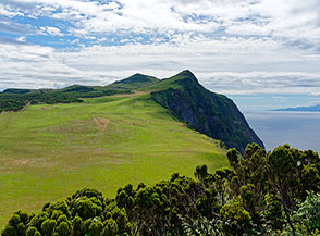 Un verdissimo campo borda la costa nei pressi di Ponta dos Rosais.
