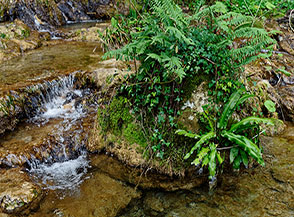Scorcio sul torrente a valle della Cascata delle Vallocchie.