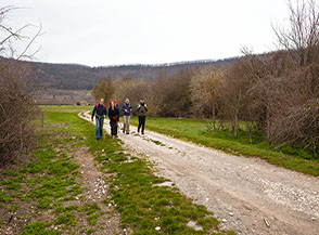 Sui prati della Valle di Vico.