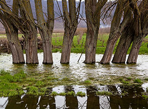 Cartolina da le Pantanacce al Lago di Vico.