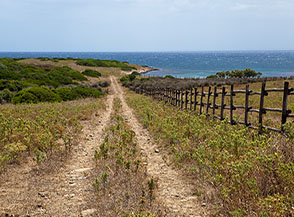 Lungo il Sentiero del Granito sulla pista che conduce a Punta Barbarossa.