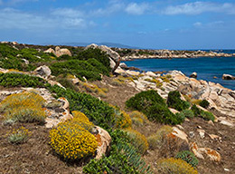 Punta Barbarossa e P.li Giorri