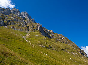 Il ripido pendio prativo alle pendici della Cresta Nord-Est del Dente del Lupo.