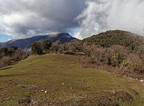 Il valico prativo nei pressi di Fontana Savino, sulla dx la boscosa Punta Mastro Marco mentre sullo sfondo s&rsquo;intravede tra le nuvole il Monte Gemma.